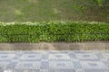 Horizontal pattern of street and hedge