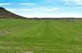 horizontal photo of an agriculture field with green crops and an irrigation watering system to water the grass to grow the wheat Royalty Free Stock Photo