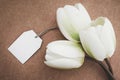 Artificial white tulips with greeting card in kraft paper background. Concept for Mother`s Day with copy space.