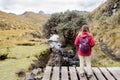 Horizontal photo from behind of a woman hiker standing on a wooden walkway viewing the landscape in the tropical Ecuadorian Andes Royalty Free Stock Photo