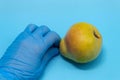 On a blue background is a fresh red pear. The man put a hand in a blue medical disposable glove