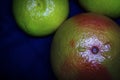 Top View Of Fresh Citrus Fruits: Grapefruit And Tangerines