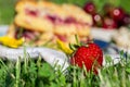 Detail of fresh red strawberry in front of cherry cake on white towel in grass