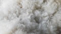 Fuzzy and white pure sheep wool. Beautiful texture that looks like clouds. Royalty Free Stock Photo