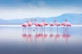 A Horizontal Photo of a Group of Flamingos on a Salt Lake. Generative By Ai