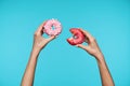 Horizontal photo of pretty hands of young lady keeping fresh donuts with pink frosting, being hungry and biting one of them,