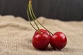 Horizontal photo of tree red cherries with water drops which are together on one green branch on jute on a table. Selective Royalty Free Stock Photo
