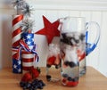 American Holiday Summer fruit and water infustion with berries Royalty Free Stock Photo