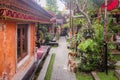 Two stray dogs walking inside the festively decorated Ubud Palace or Puri Saren Agung.