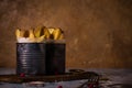 Two worn cans with fried potato stripes on cutting board Royalty Free Stock Photo