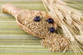 Whole Grain Cereal in Large Wooden Spoon