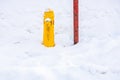 Bright Yellow Fire Hydrant Stands Out Against a Snowy Landscape with a Red Post Nearby Royalty Free Stock Photo