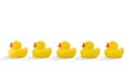 Row of Yellow Rubber Ducks in a Row on a White Backgound Royalty Free Stock Photo