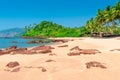 Horizontal picture of beautiful tropical beach