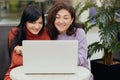 Horizontal picture of cheerful magnetic positive brunettes looking attentively at laptop screen, smiling sincerely, spending time