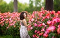 Horizontal portrait of young attractive brunette caucasian woman near huge pink rose bush in a garden. Smiling, looking to the cam Royalty Free Stock Photo