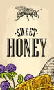 Horizontal poster with honey, honeycomb, jar, spoon, bee. Royalty Free Stock Photo