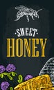 Horizontal poster with honey, honeycomb, jar, spoon, bee. Royalty Free Stock Photo