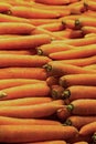 Horizontal row of orange long fruit carrot source of vitamin and pattern design background farm pattern