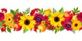 Horizontal seamless background with autumn flowers. Vector illustration. Royalty Free Stock Photo