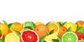 Horizontal seamless background with citrus fruits. Vector illustration.