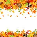 Horizontal seamless background with colorful falling autumn leaves. Vector illustration. Royalty Free Stock Photo