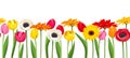 Horizontal seamless background with colorful flowers. Vector illustration. Royalty Free Stock Photo