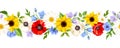 Horizontal seamless background with colorful flowers. Vector illustration. Royalty Free Stock Photo