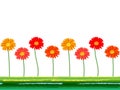 Horizontal seamless background with colorful gerbera flowers. Vector illustration. Royalty Free Stock Photo