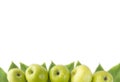 Horizontal seamless background with green apples and leaves.