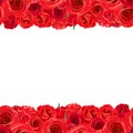 Horizontal seamless background with red roses. Vector illustration. Royalty Free Stock Photo