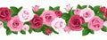 Vector horizontal seamless background with roses. Royalty Free Stock Photo