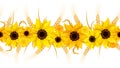 Horizontal seamless background with sunflowers and ears of wheat. Vector illustration.