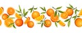 Horizontal seamless border with citrus orange fruit. Vector illustration. Royalty Free Stock Photo