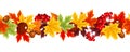 Horizontal seamless border with colorful autumn leaves. Vector illustration. Royalty Free Stock Photo
