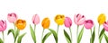 Horizontal seamless border with colorful tulips. Vector illustration Royalty Free Stock Photo