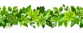 Horizontal seamless border with green leaves. Vector illustration. Royalty Free Stock Photo