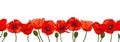 Horizontal seamless border with hand drawn red poppy flowers isolated on white background Royalty Free Stock Photo