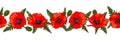 Horizontal seamless border with hand drawn red poppy flowers isolated on white background Royalty Free Stock Photo