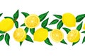 Horizontal Seamless border of lemons branch on white background. Vector cartoon style illustration. Backdrop for Royalty Free Stock Photo