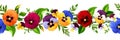 Horizontal seamless border with colorful pansy flowers. Vector illustration Royalty Free Stock Photo