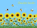 Horizontal seamless border with yellow sunflowers, green grass and bees collecting nectar against the blue sky. Vector