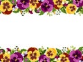 Horizontal seamless frame with pansy flowers. Vector illustration.