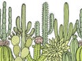 Horizontal seamless pattern with illustrations of wild cactuses