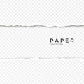 Horizontal seamless torn paper edge. Rough broken border of paper stripe. Vector illustration Royalty Free Stock Photo