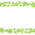 Horizontal seamless vector border or frame of green leaves and stems isolated on white background. Seamless pattern of Royalty Free Stock Photo