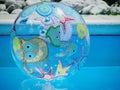 Horizontal shot of a beach ball with starfish and medusa on a swimming pool background Royalty Free Stock Photo