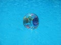 Horizontal shot of a beach ball with starfish and medusa on a swimming pool background Royalty Free Stock Photo