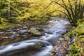 Smoky Mountain Stream in Autumn Colors Royalty Free Stock Photo