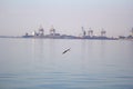 Horizontal shot a bird flying near the water with a construction site on the background